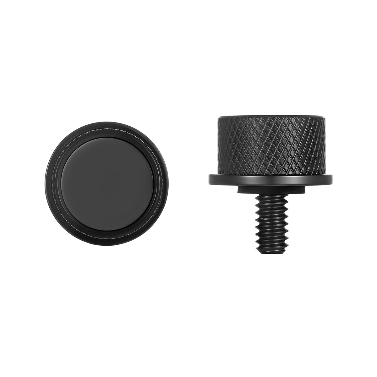 Stainless-Steel Seat Screw with Graphic Emblem
