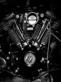 RFP M8 Bolt Timing Cover image 0