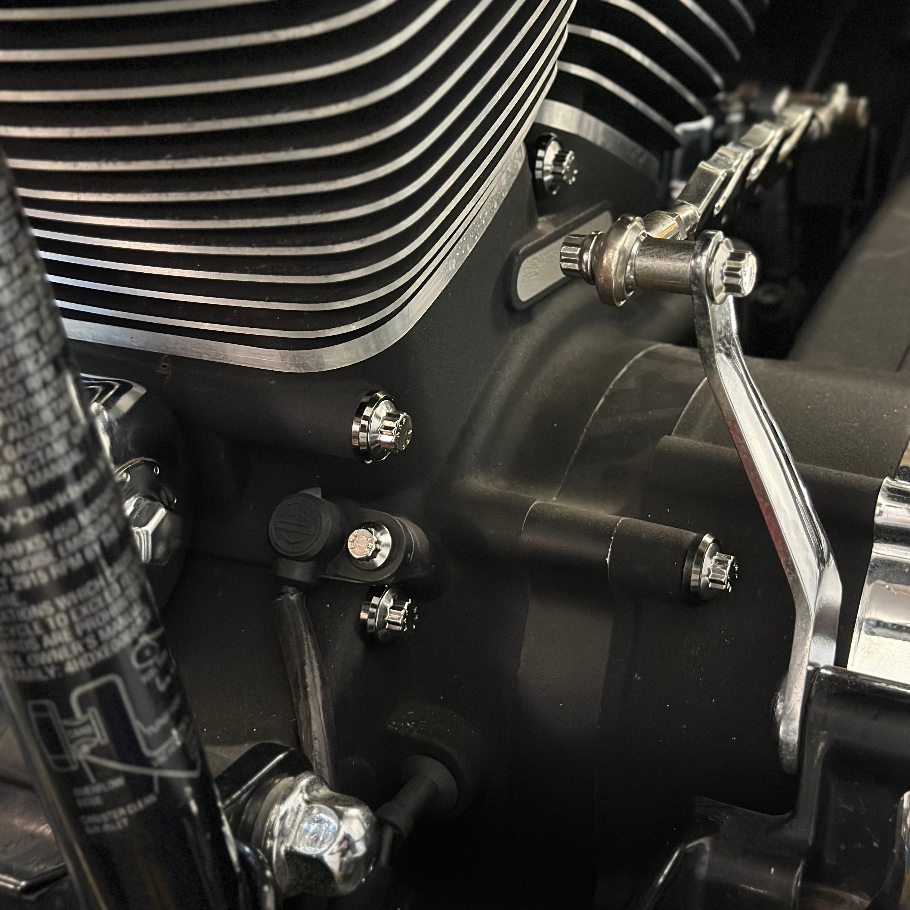 ARP Twin Cam Case Bolts