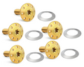 Arlen Ness Titanium Floating Rotor Bolts image 0
