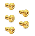 Arlen Ness Titanium Rotor Bolt Kit image 0